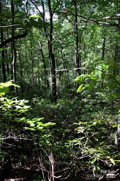 Property image 3 at Tbd Frozen Creek None, Brevard, NC 28712