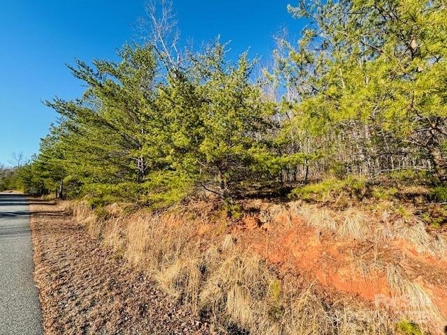 Property image 2 at 0 Cross Creek Drive, Rutherfordton, NC 28139