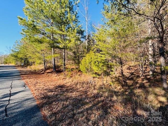 Property image 5 at 0 Cross Creek Drive, Rutherfordton, NC 28139