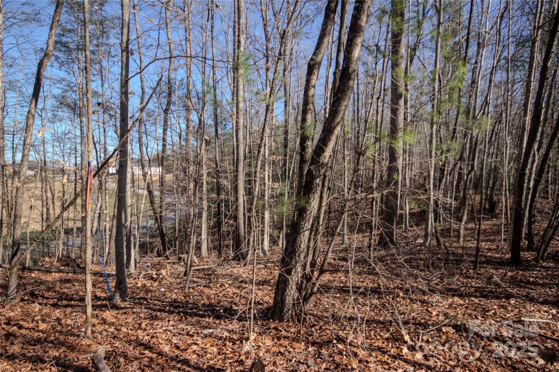 Property image 4 at Lot 80 Huntington Woods Street, Lenoir, NC 28645