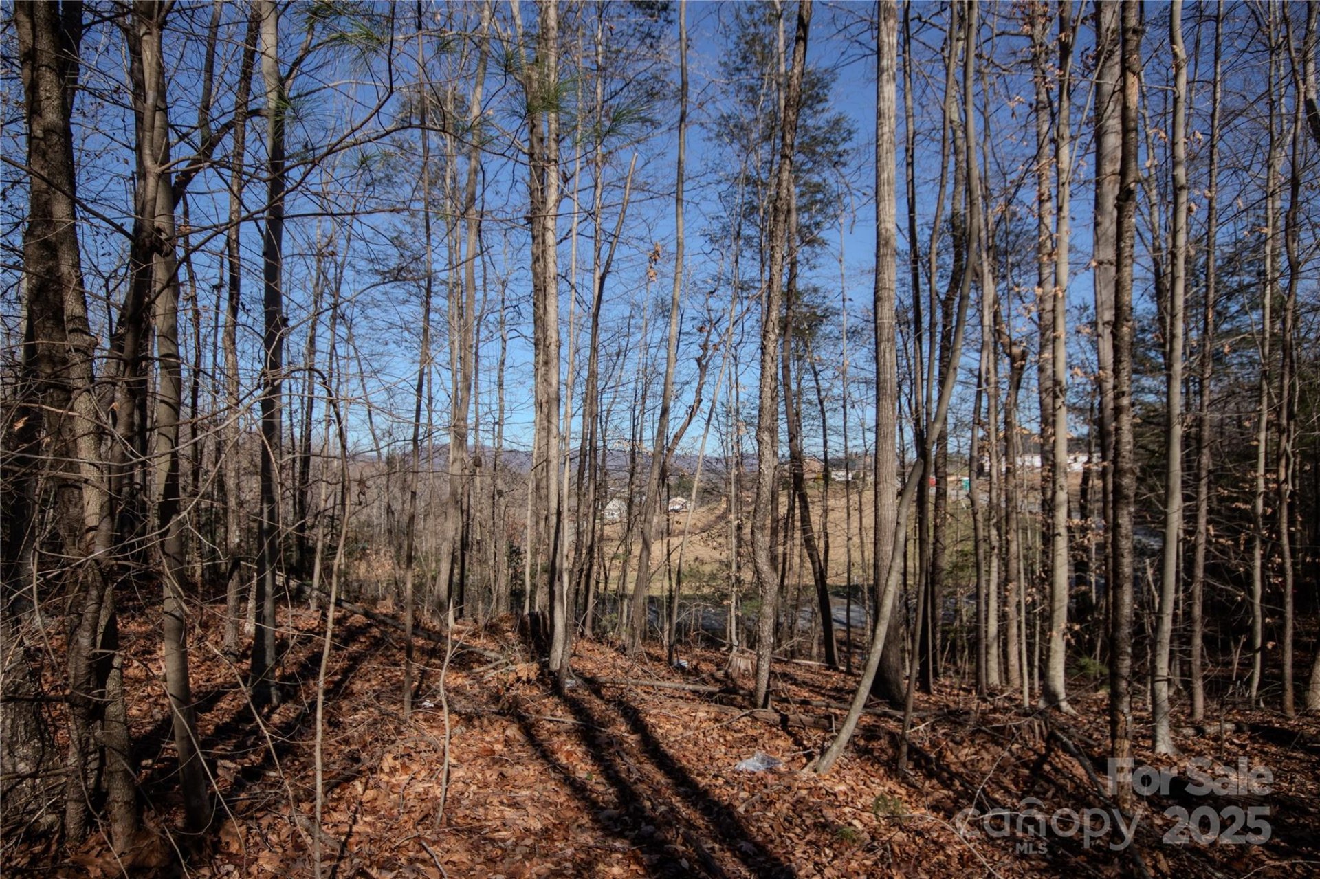 Property image 5 at Lot 80 Huntington Woods Street, Lenoir, NC 28645