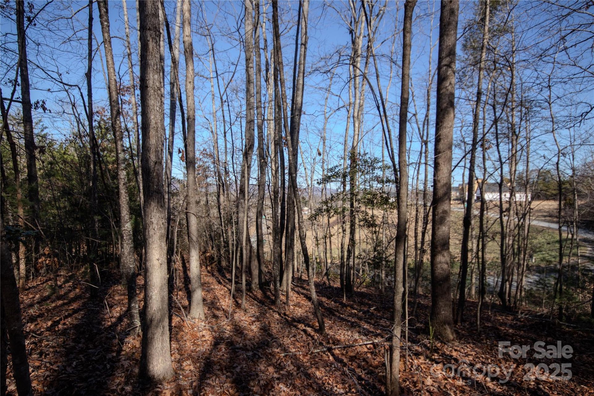 Property image 5 at Lot 81 Huntington Woods Street, Lenoir, NC 28645