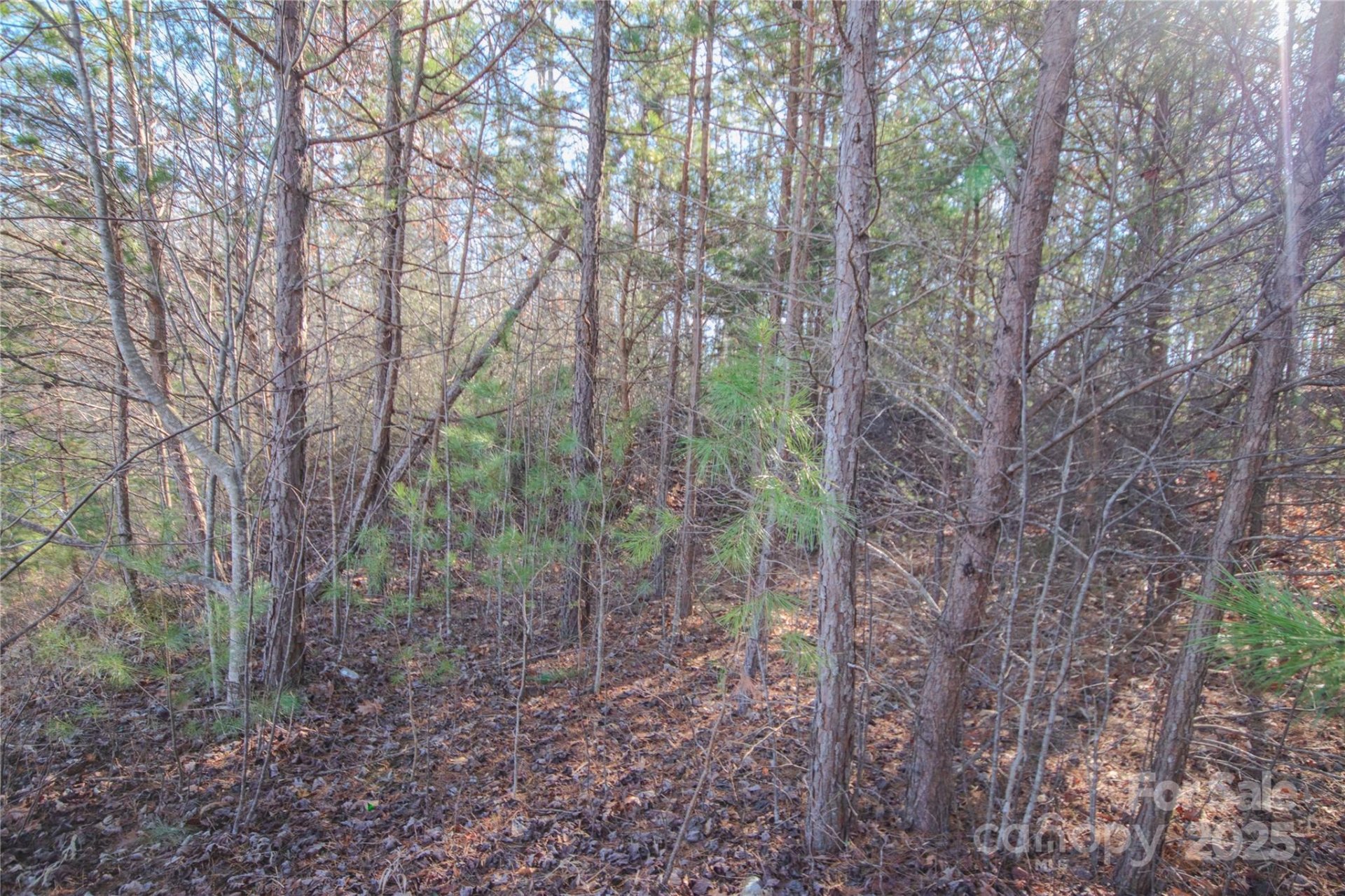 Property image 4 at Lot 82 Huntington Woods Street, Lenoir, NC 28645