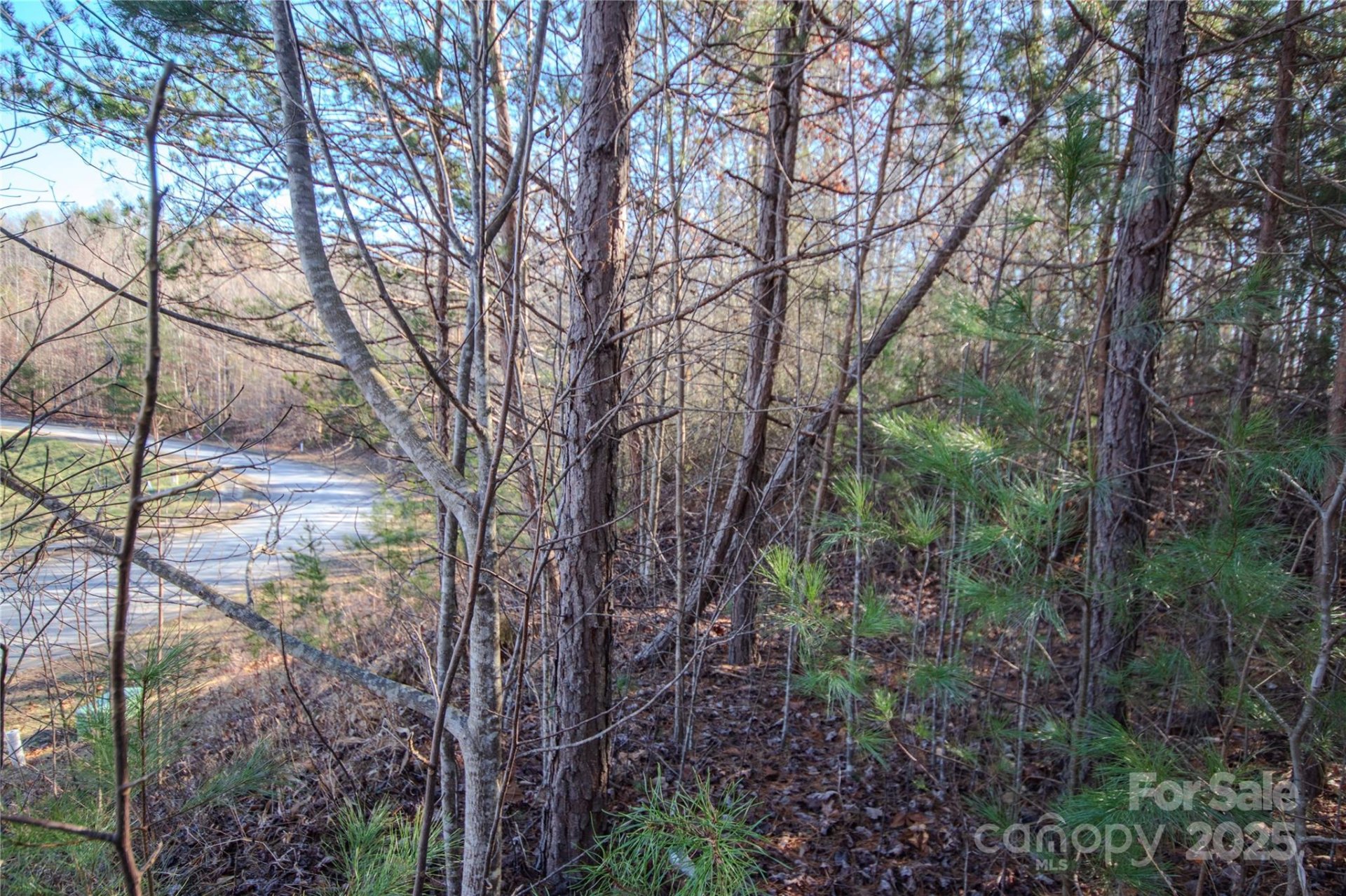 Property image 5 at Lot 82 Huntington Woods Street, Lenoir, NC 28645