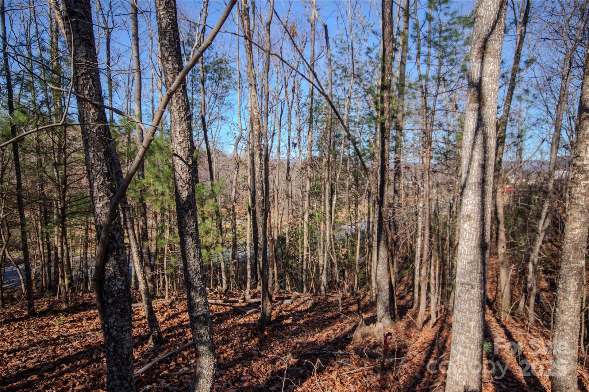 Property image 4 at 401 Huntington Woods Street, Lenoir, NC 28645