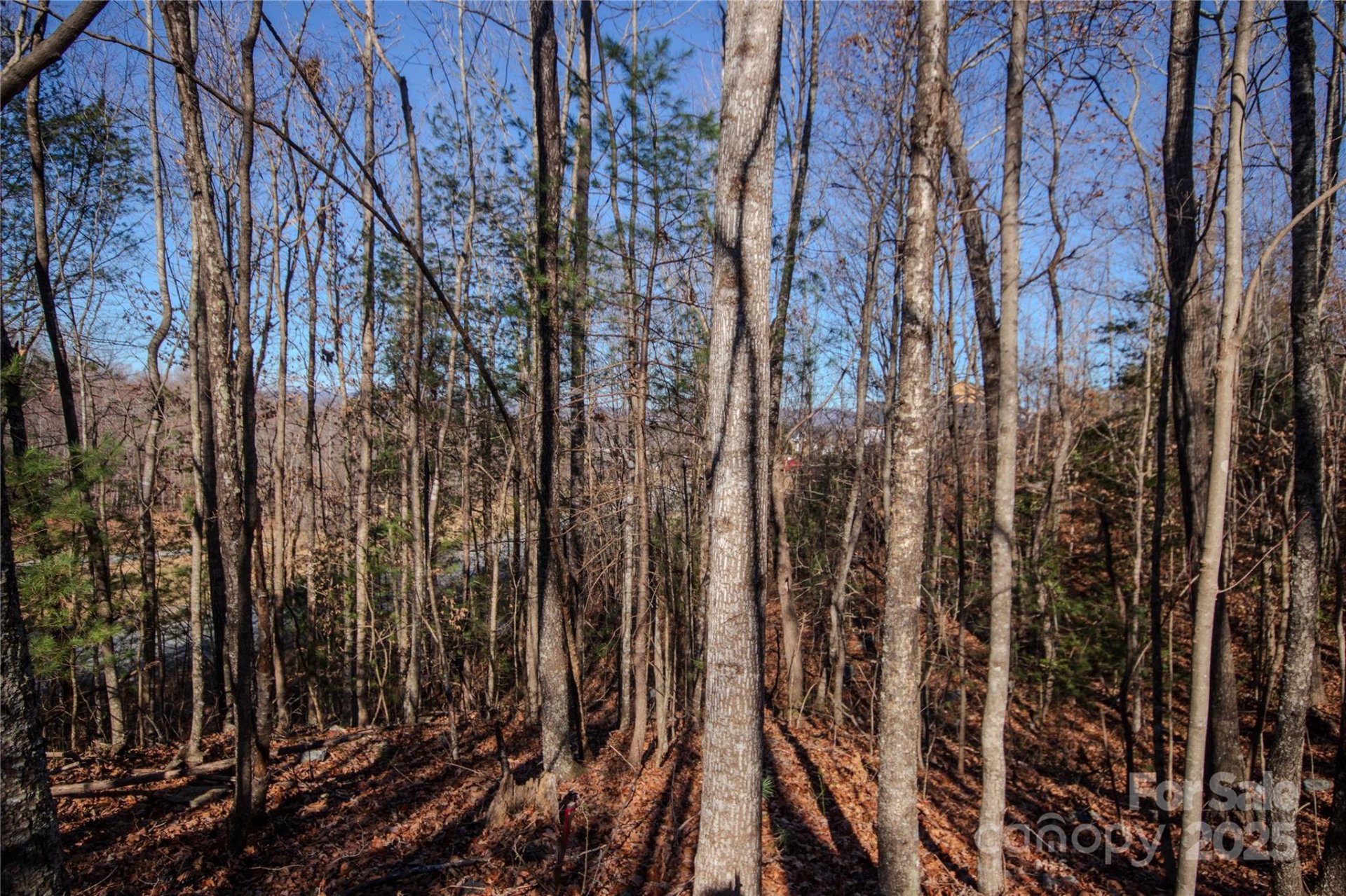 Property image 5 at 401 Huntington Woods Street, Lenoir, NC 28645