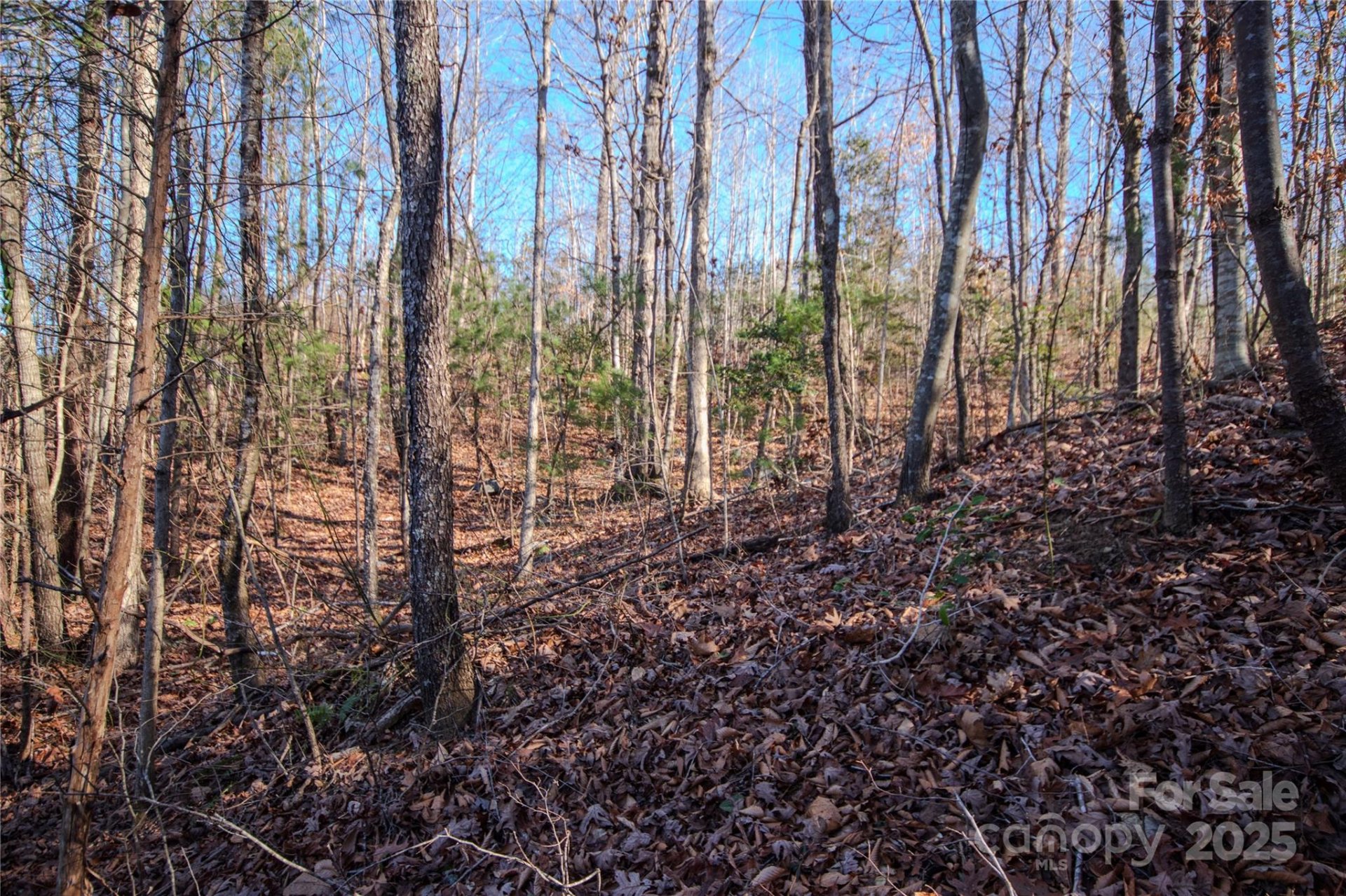 Property image 4 at 403 Huntington Woods Street, Lenoir, NC 28645