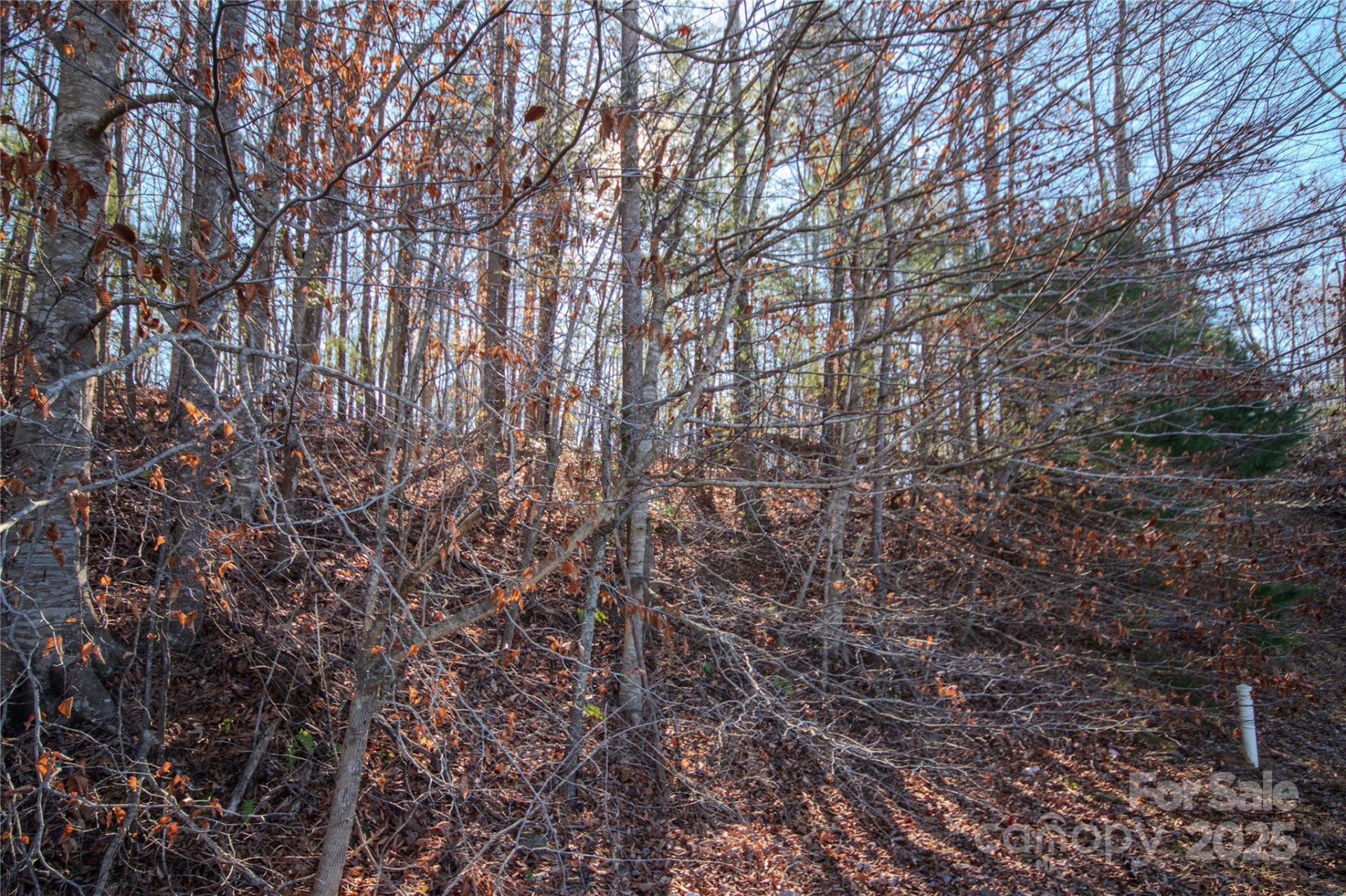 Property image 5 at 403 Huntington Woods Street, Lenoir, NC 28645