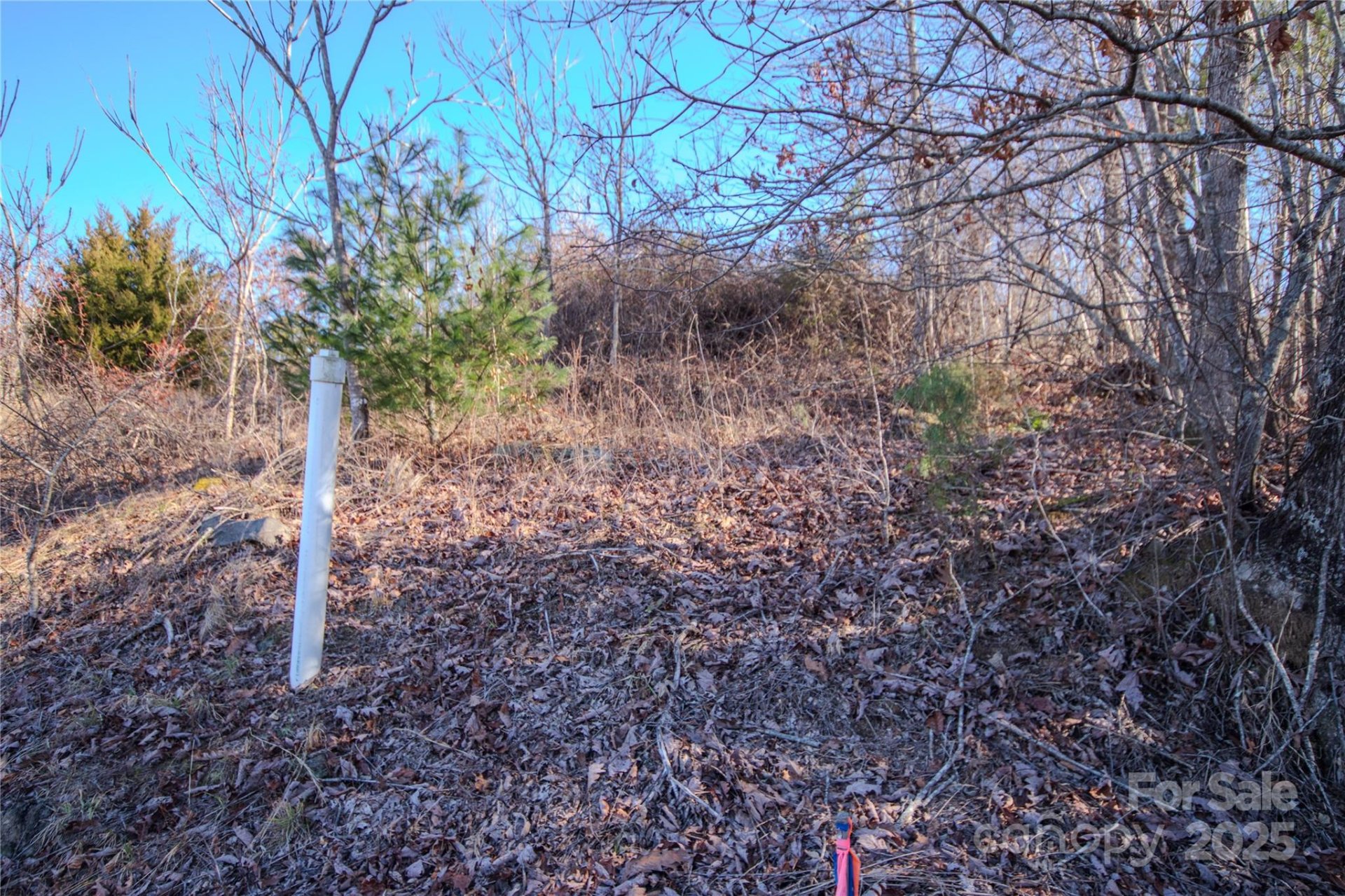 Property image 4 at 405 Huntington Woods Street, Lenoir, NC 28645