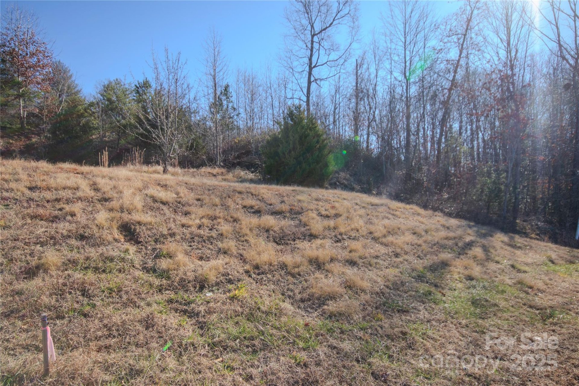 Property image 5 at 405 Huntington Woods Street, Lenoir, NC 28645