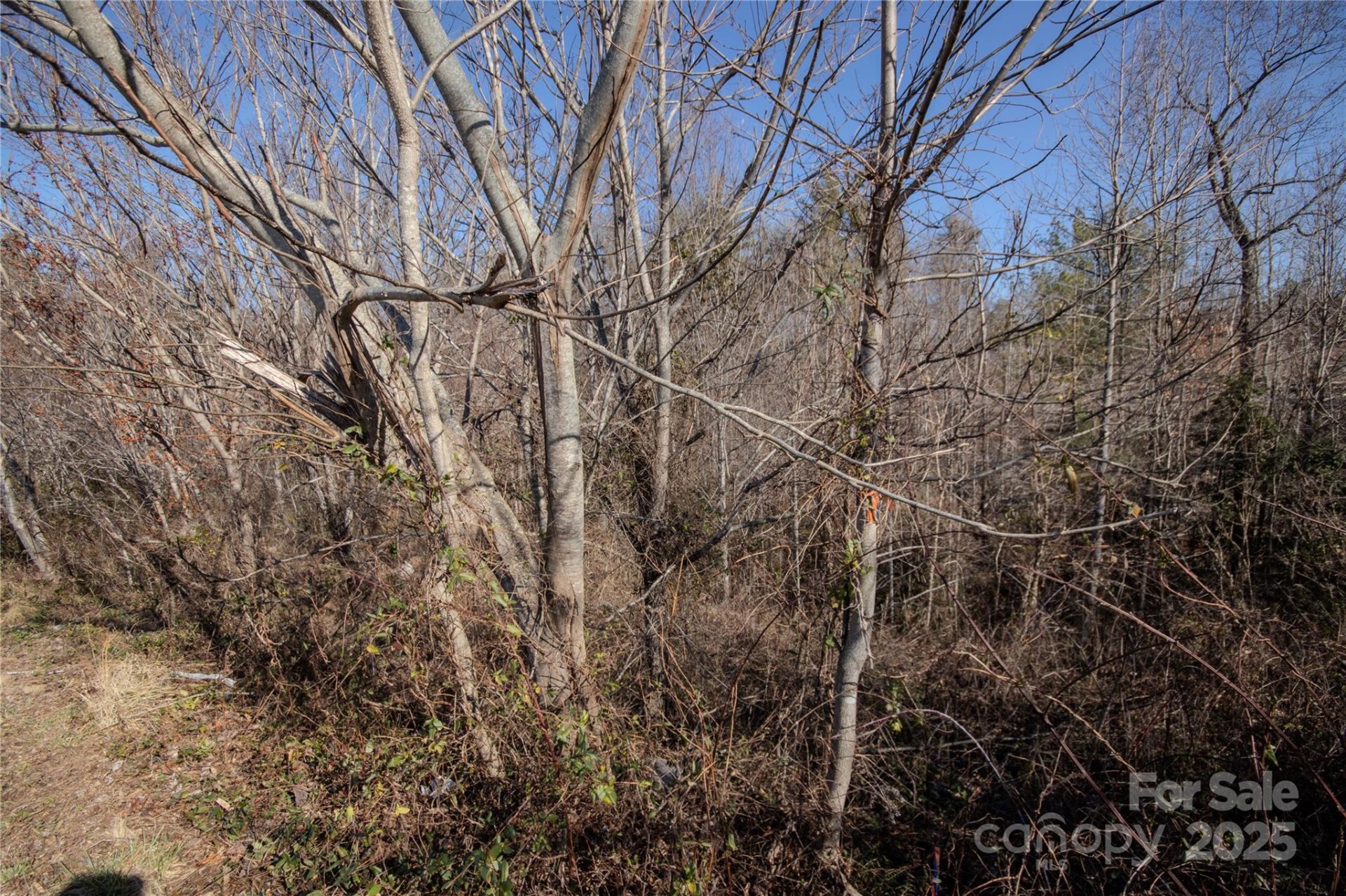 Property image 3 at 708 Chatsworth Circle, Lenoir, NC 28645