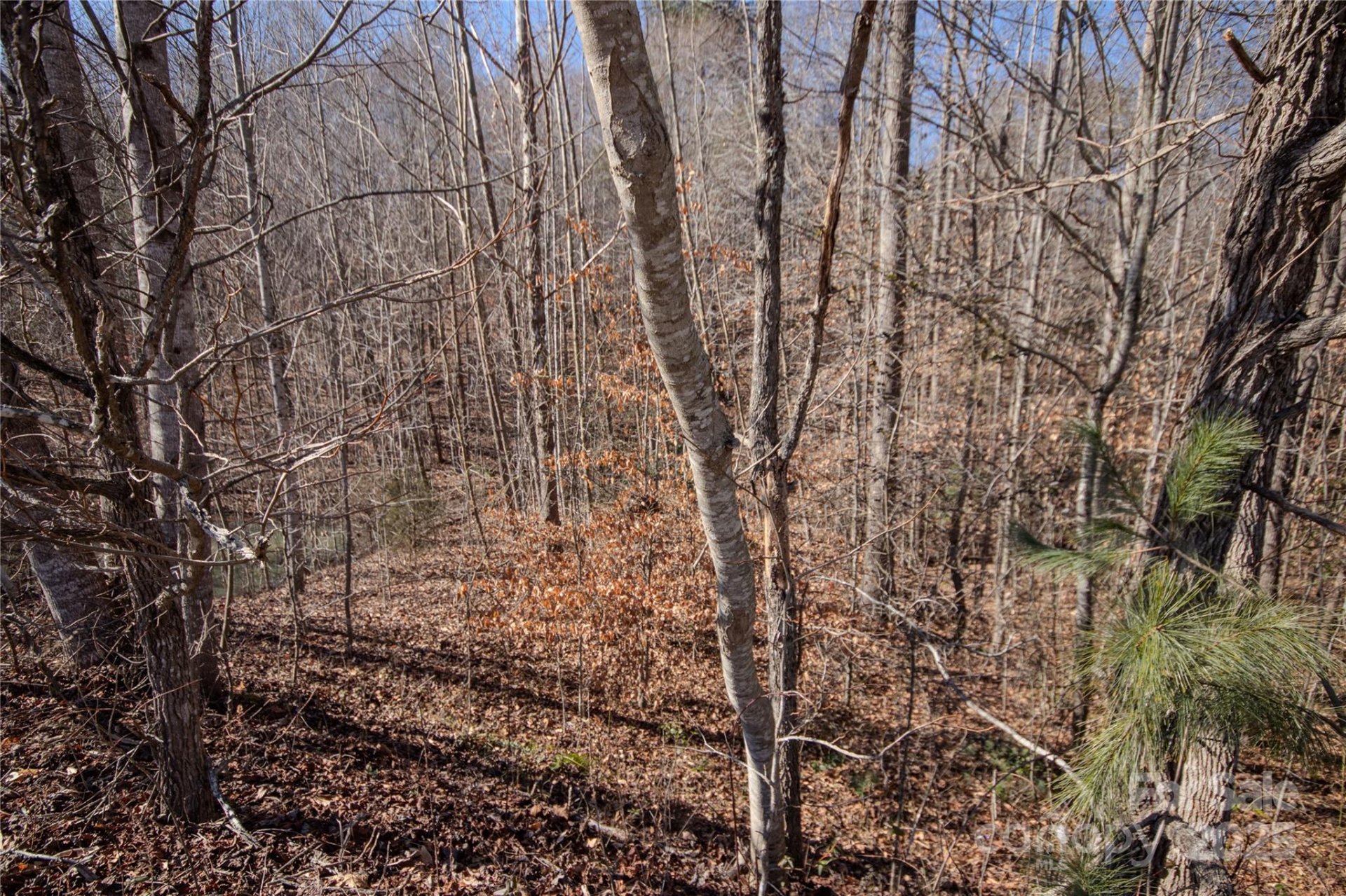 Property image 3 at 746 Chatsworth Circle, Lenoir, NC 28645
