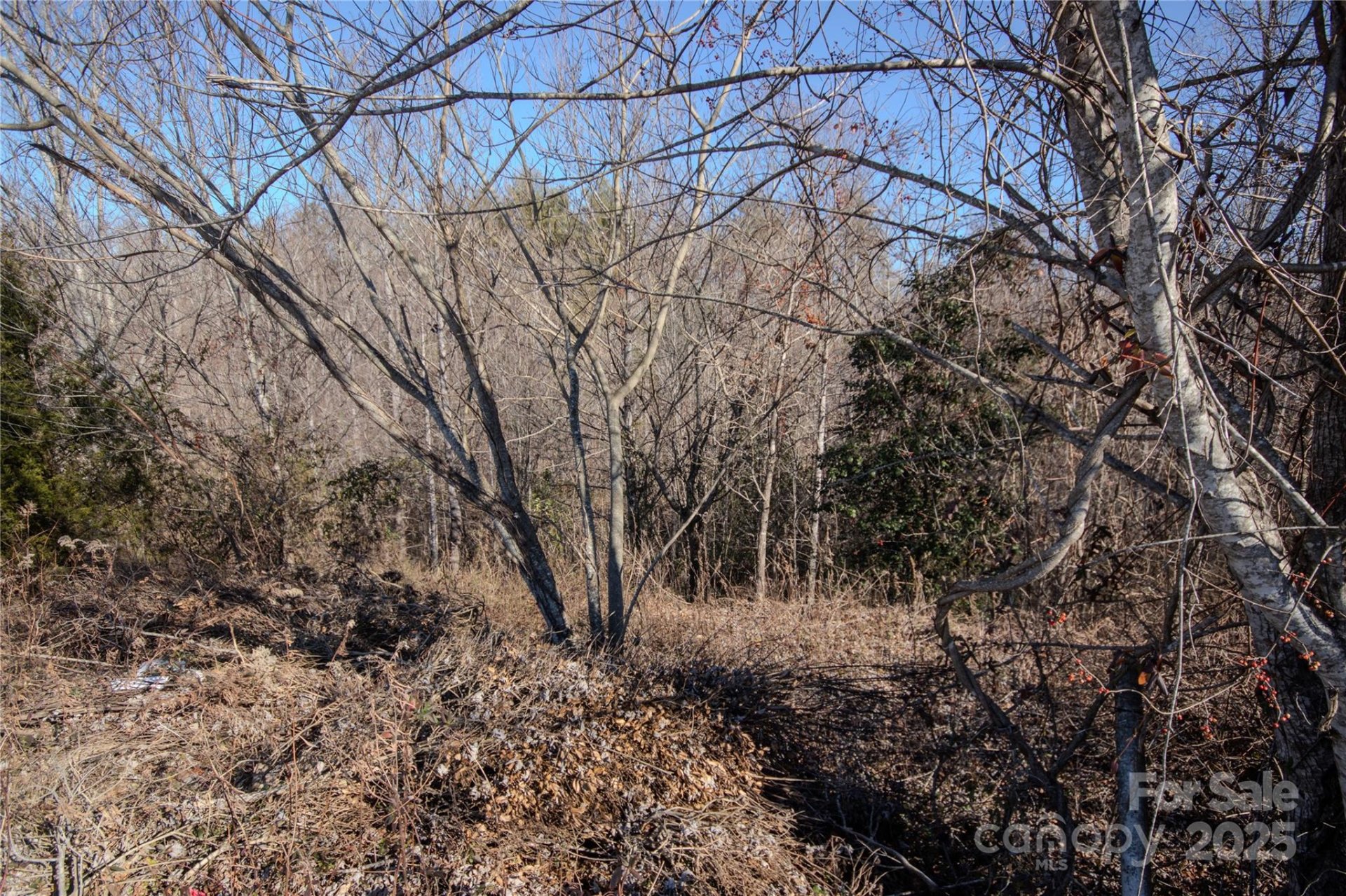 Property image 4 at 702 Chatsworth Circle, Lenoir, NC 28645
