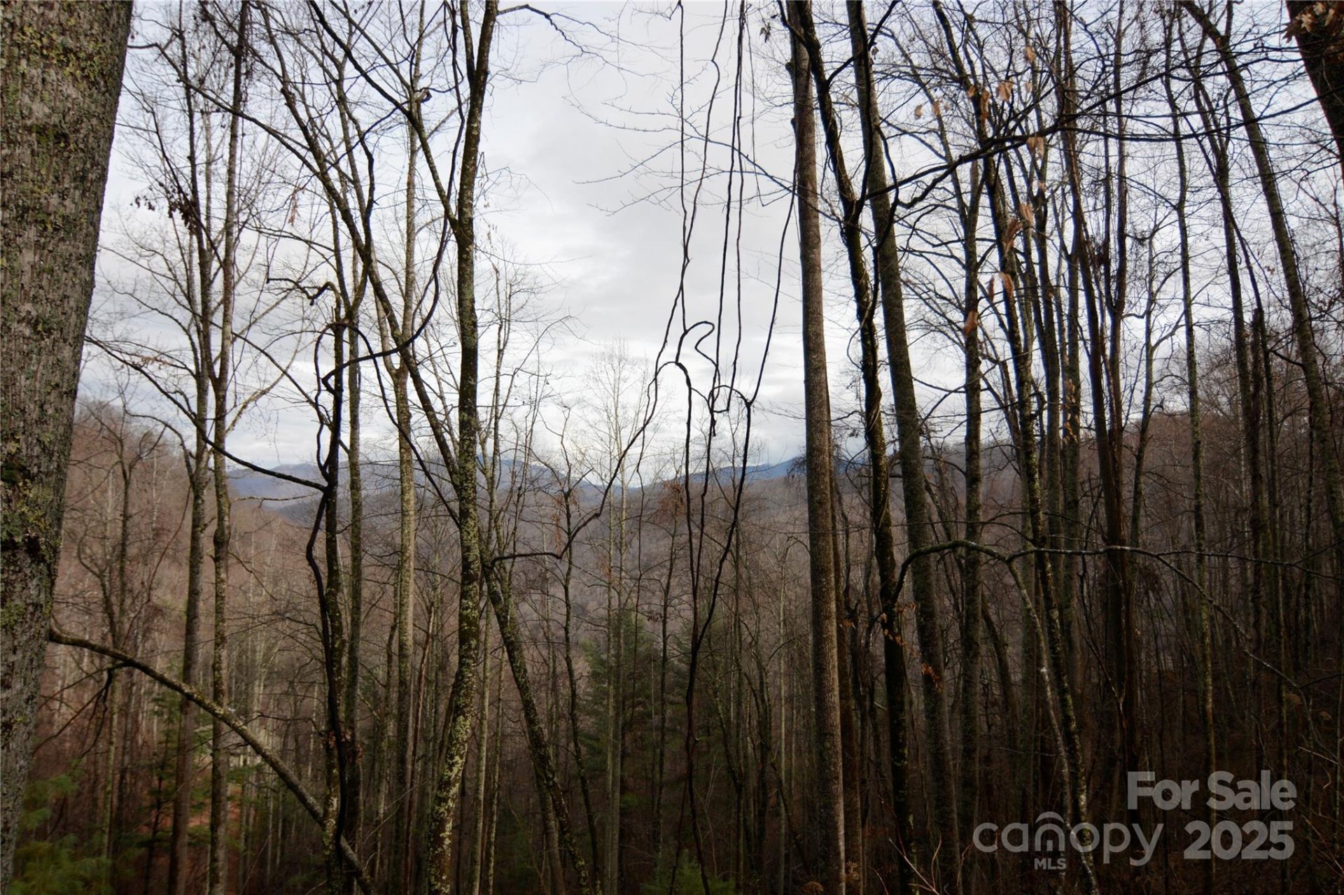 00 Jacks Knob Road