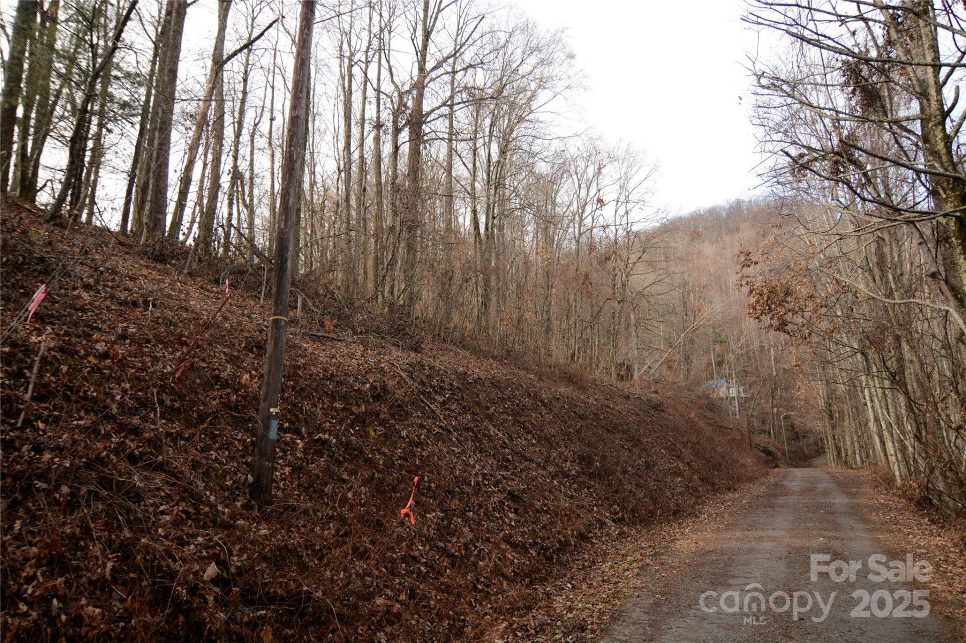 Property image 2 at 00 Jacks Knob Road, Barnardsville, NC 28709
