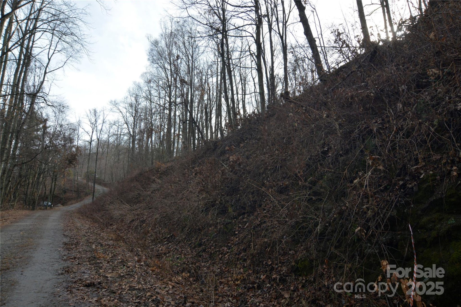 Property image 3 at 00 Jacks Knob Road, Barnardsville, NC 28709