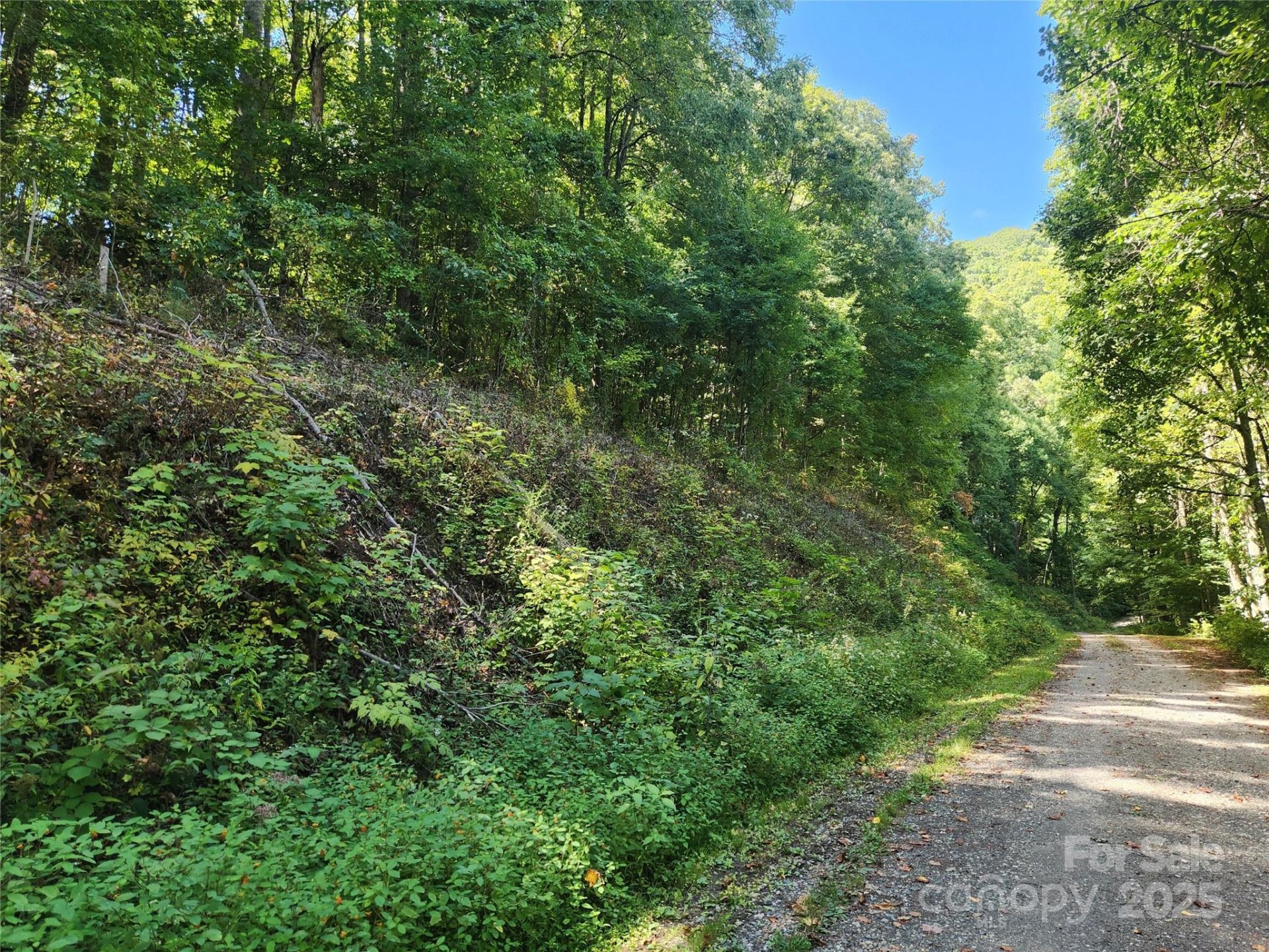 Property image 5 at 00 Jacks Knob Road, Barnardsville, NC 28709