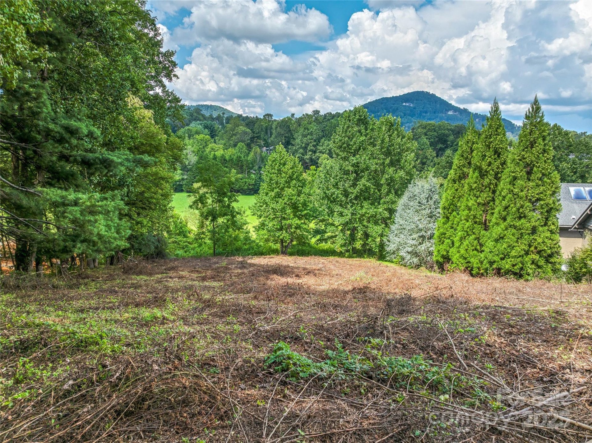 37 Bear Flower Trail