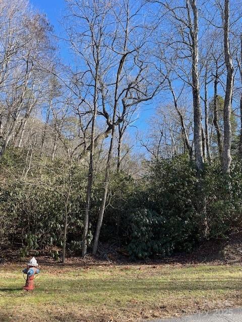 Property image 3 at M12r Elk Mountain Trail, Brevard, NC 28712
