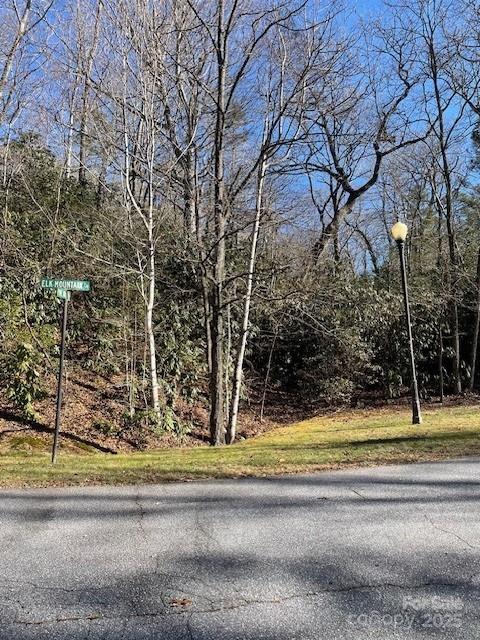 Property image 4 at M12r Elk Mountain Trail, Brevard, NC 28712