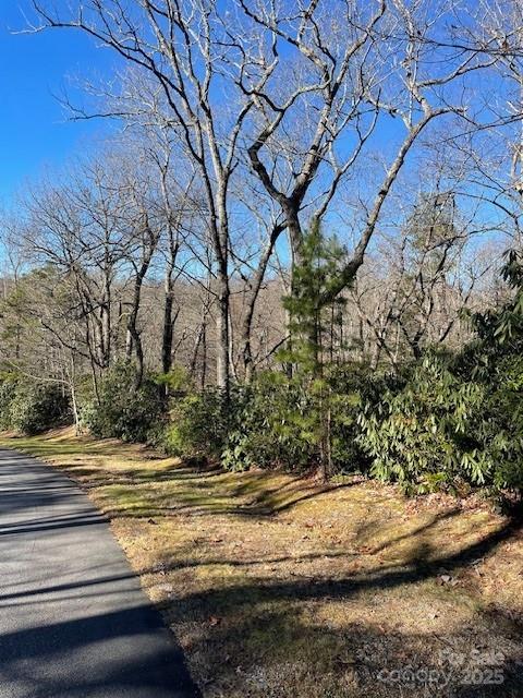 Property image 5 at M12r Elk Mountain Trail, Brevard, NC 28712