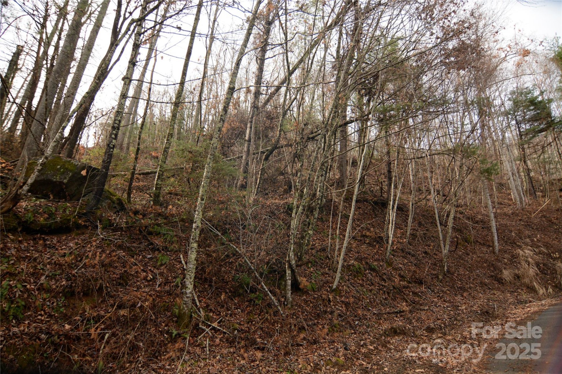 00 Green Ridge Falls Road