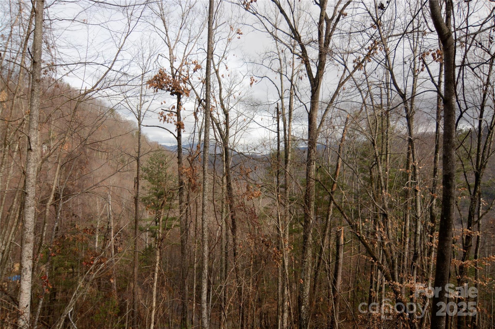 Property image 2 at 00 Green Ridge Falls Road, Barnardsville, NC 28709