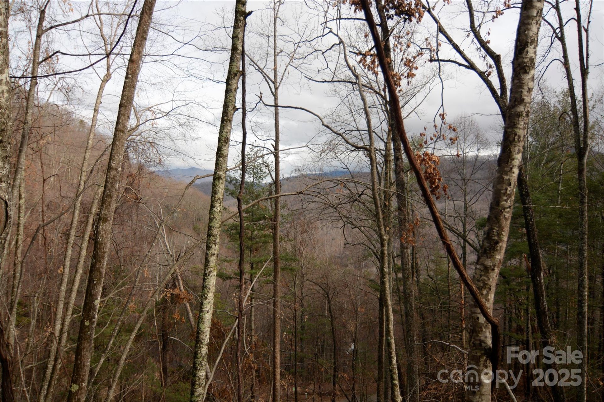 Property image 4 at 00 Green Ridge Falls Road, Barnardsville, NC 28709