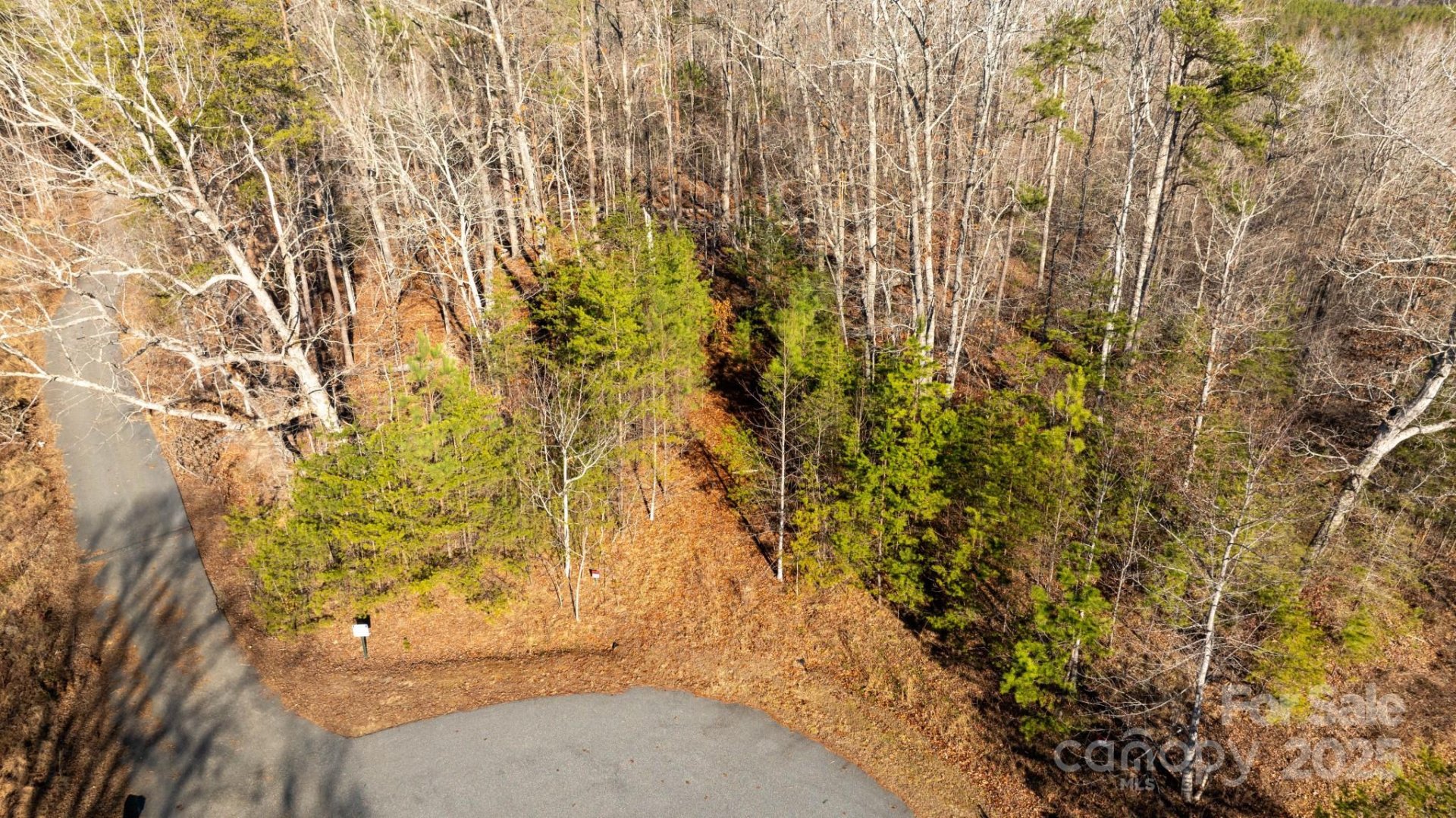 Property image 3 at 0 Shady Bark Lane, Rutherfordton, NC 28139