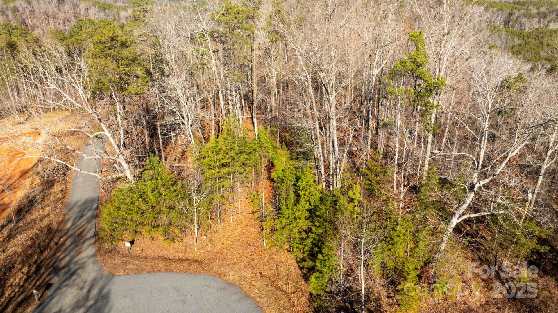 Property image 4 at 0 Shady Bark Lane, Rutherfordton, NC 28139