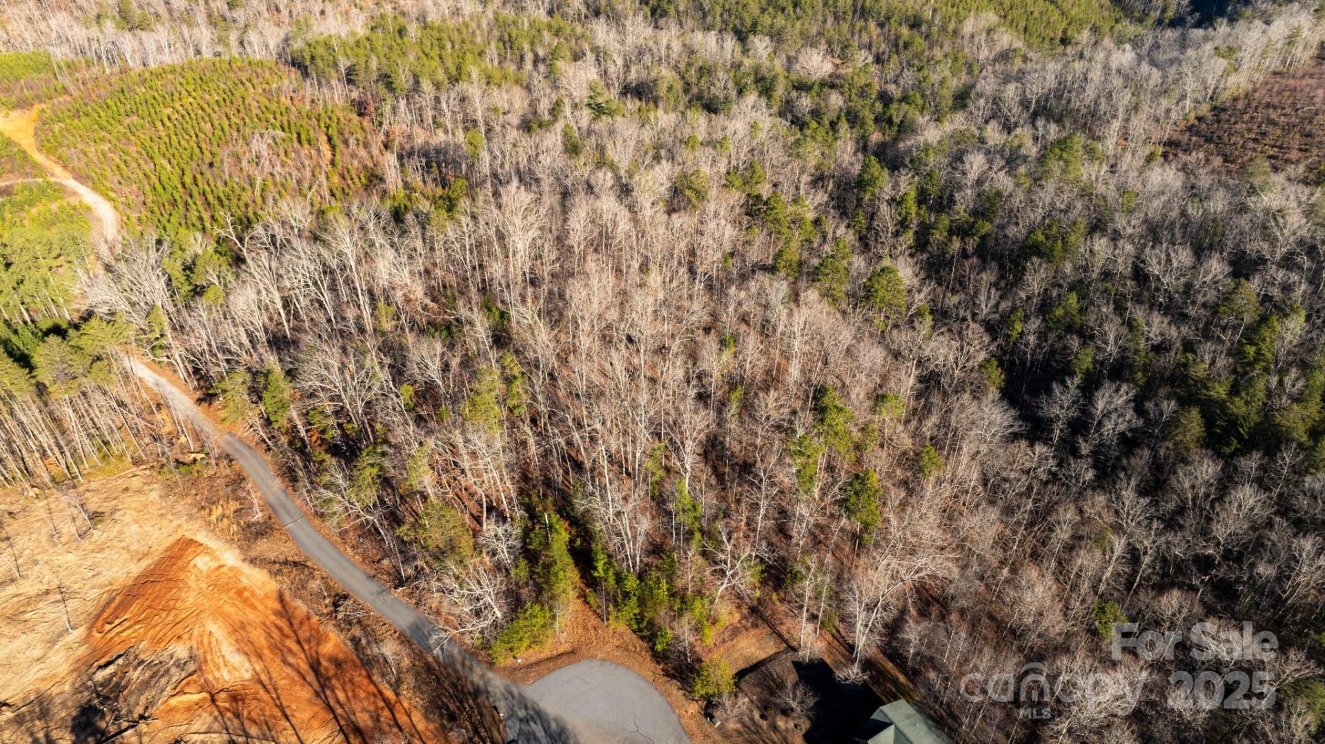 Property image 5 at 0 Shady Bark Lane, Rutherfordton, NC 28139
