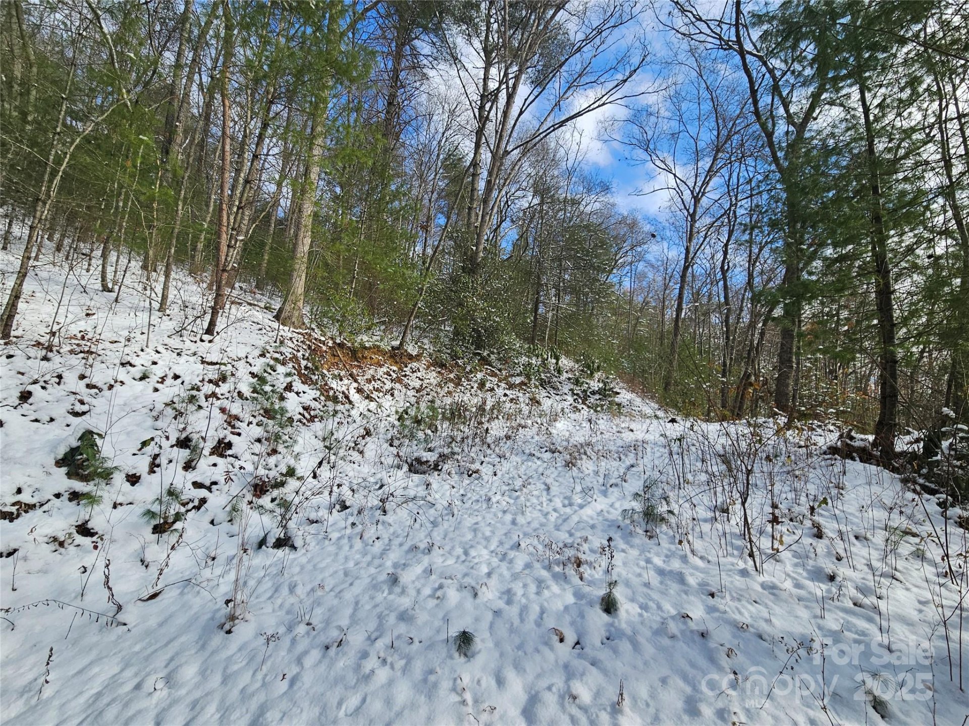 Property image 3 at 0 Laurel Branch Road, Waynesville, NC 28785