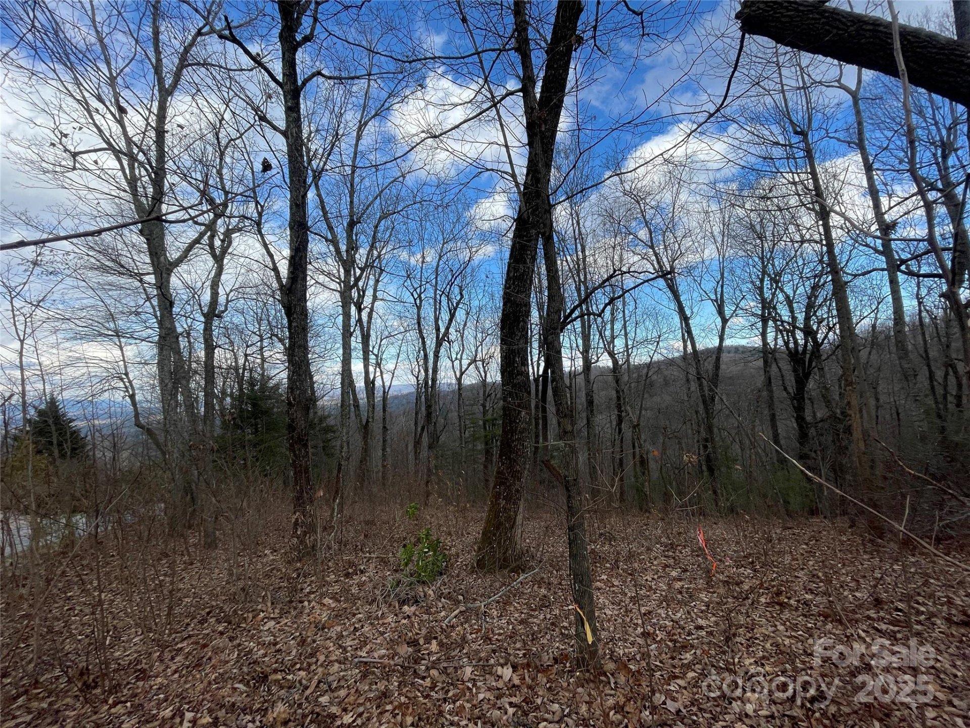 Property image 2 at 108 Fawncrest Court, Flat Rock, NC 28731