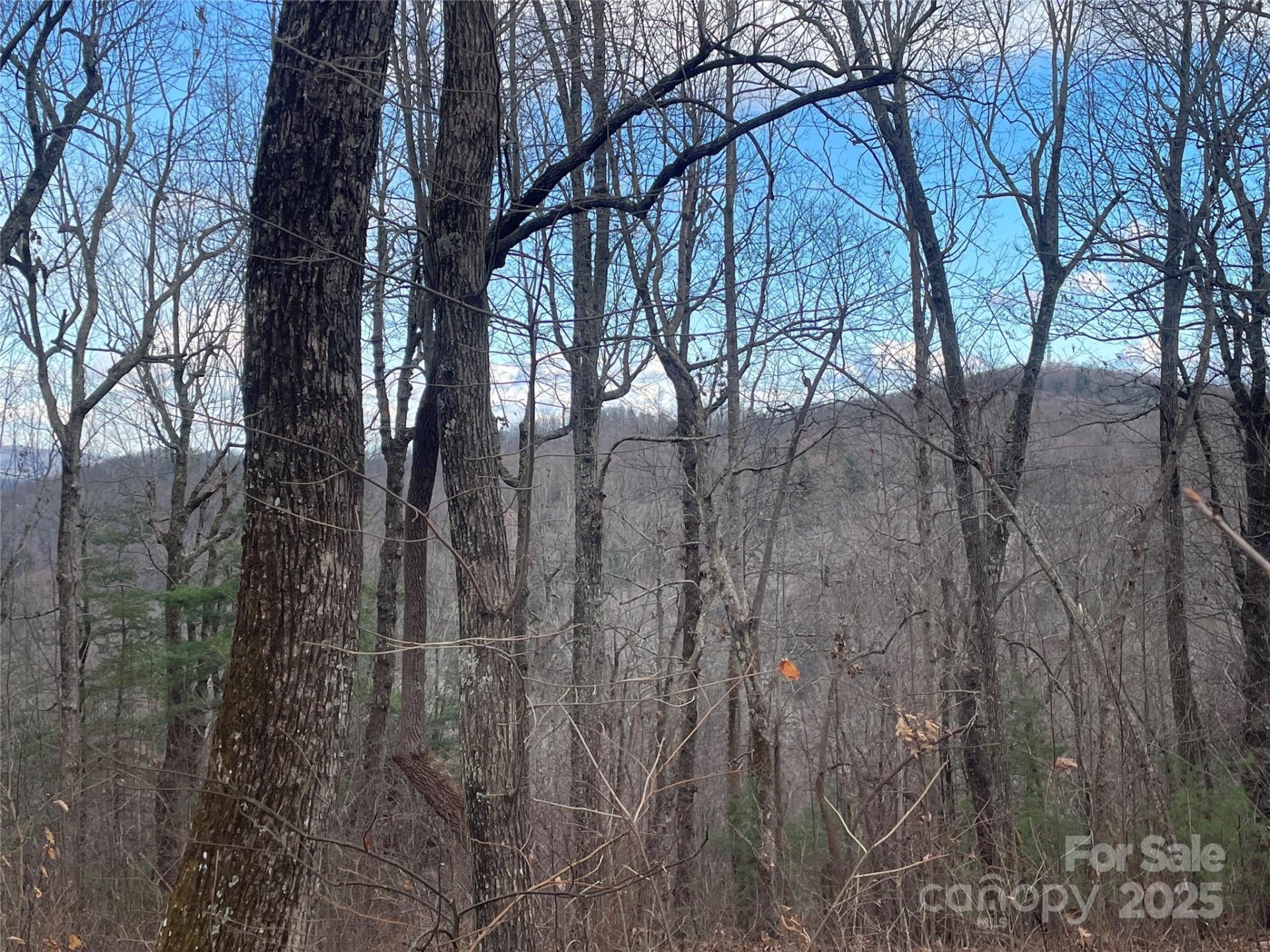 Property image 3 at 108 Fawncrest Court, Flat Rock, NC 28731