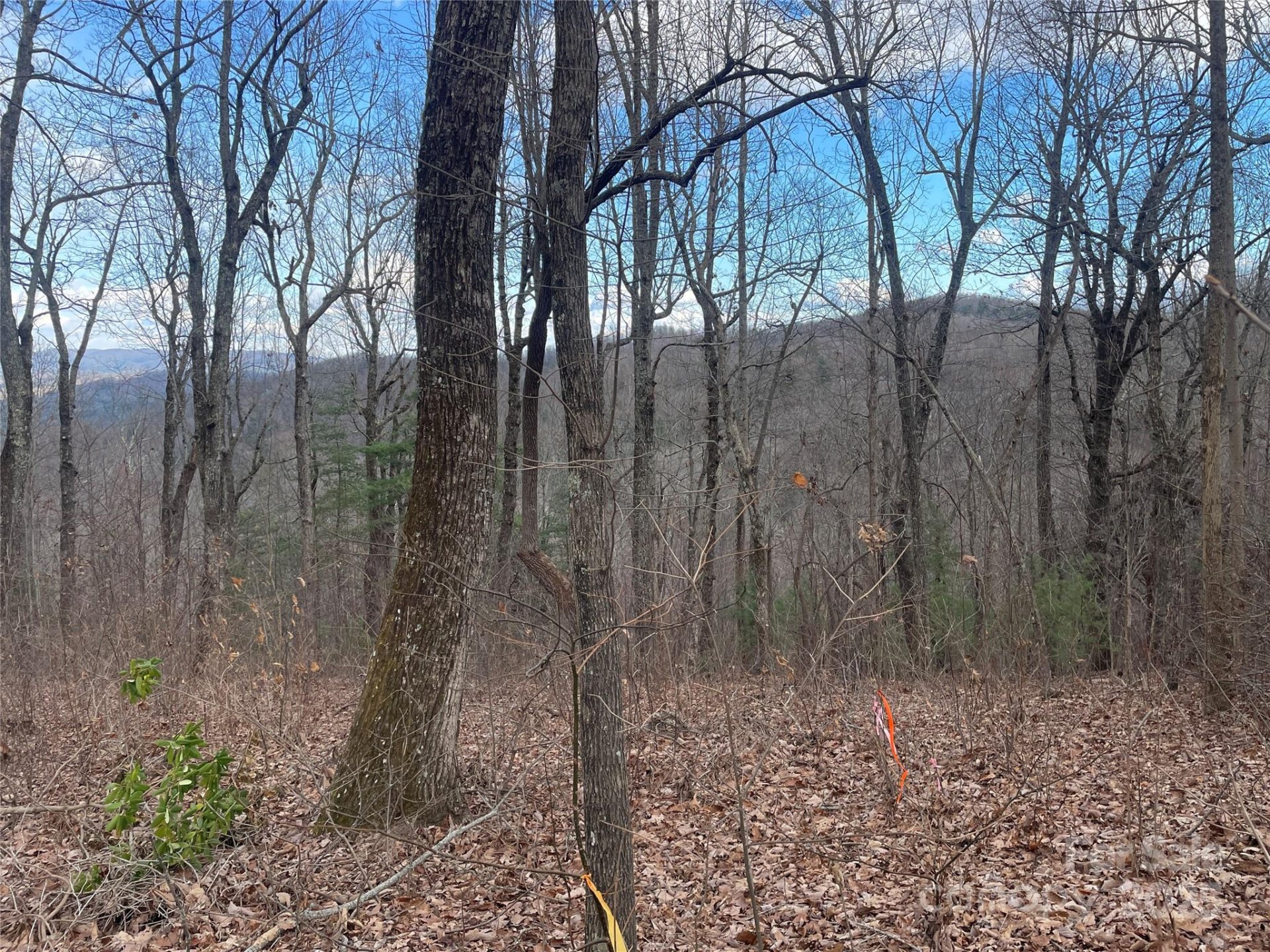 Property image 4 at 108 Fawncrest Court, Flat Rock, NC 28731
