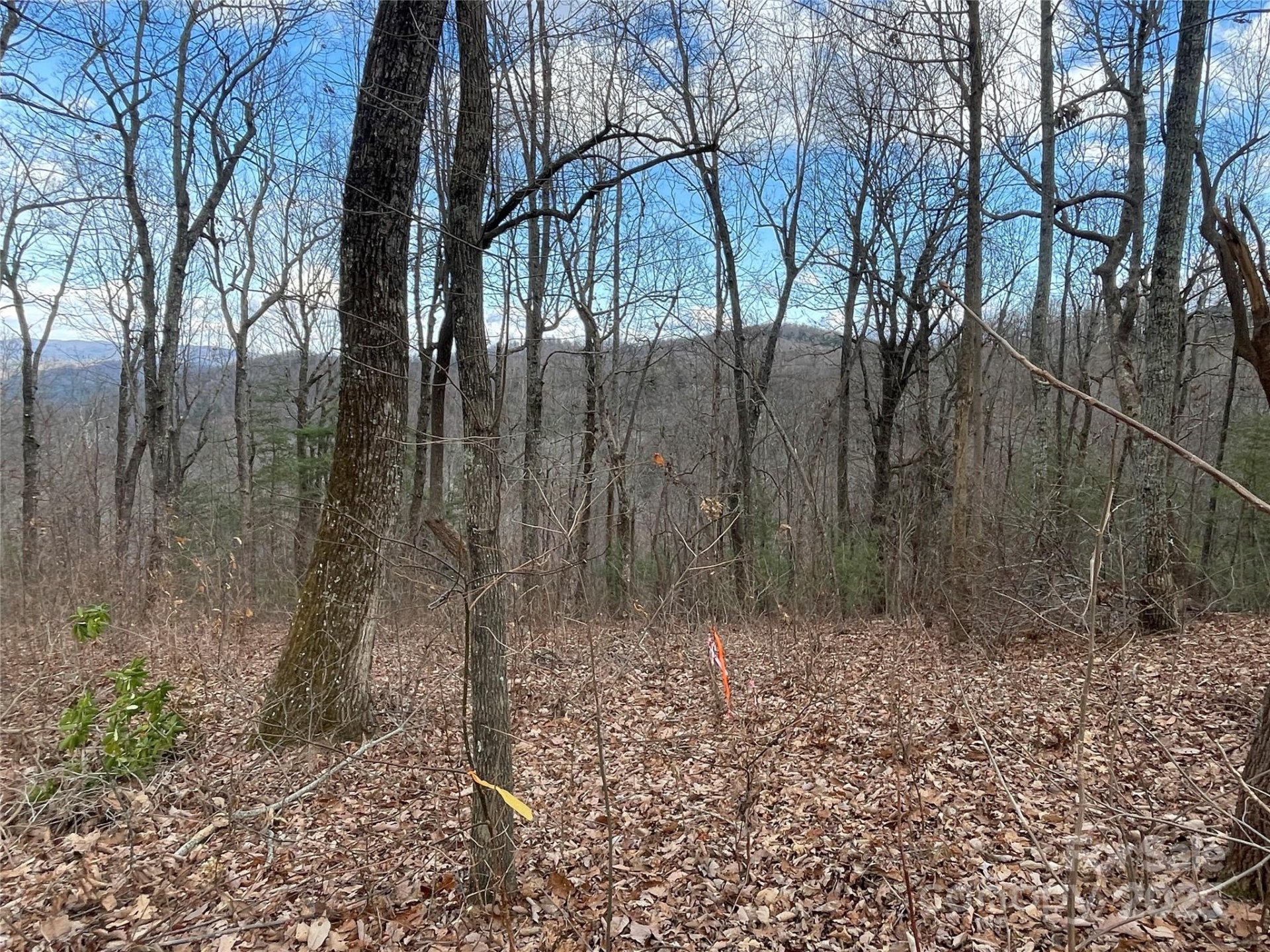 Property image 5 at 108 Fawncrest Court, Flat Rock, NC 28731