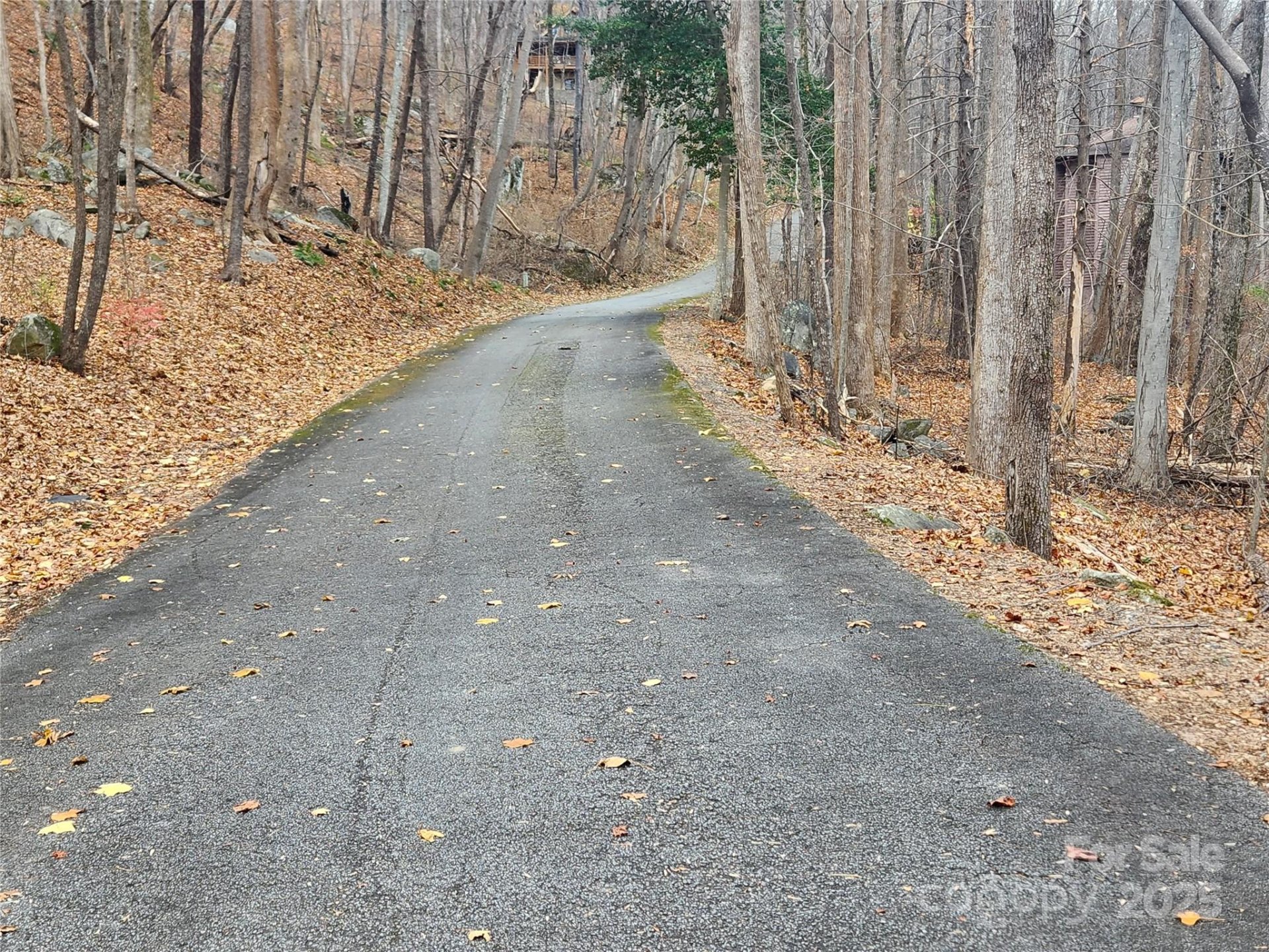 Property image 1 at Lot 197 Bald Mountain Crescent, Lake Lure, NC 28746