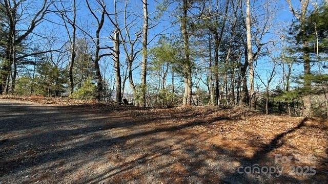 Property image 2 at 0 Bird Dog Boulevard, Lake Lure, NC 28746