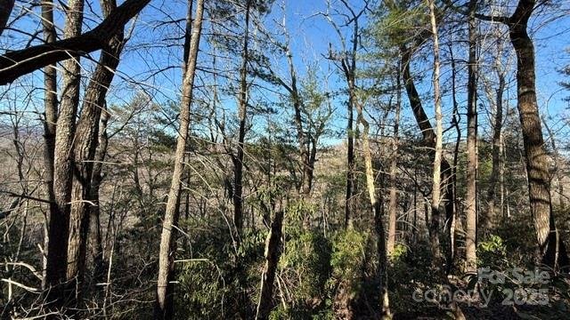 Property image 3 at 0 Bird Dog Boulevard, Lake Lure, NC 28746