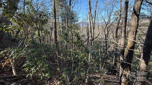 Property image 4 at 0 Bird Dog Boulevard, Lake Lure, NC 28746