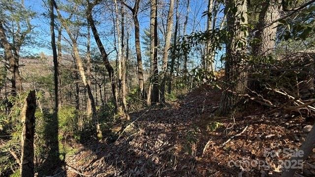 Property image 5 at 0 Bird Dog Boulevard, Lake Lure, NC 28746