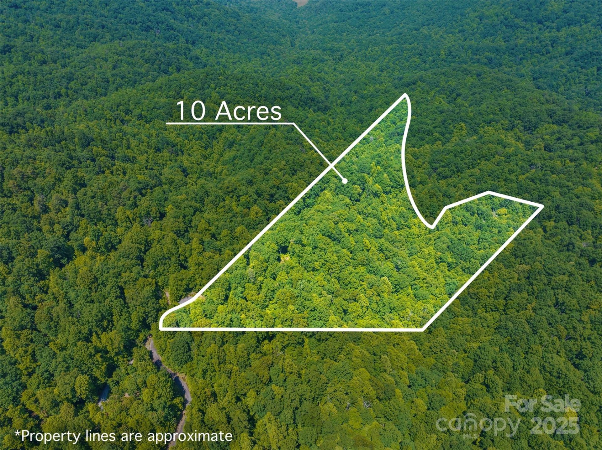 Property image 4 at Lot 4 Council Bluff Trail, Black Mountain, NC 28711