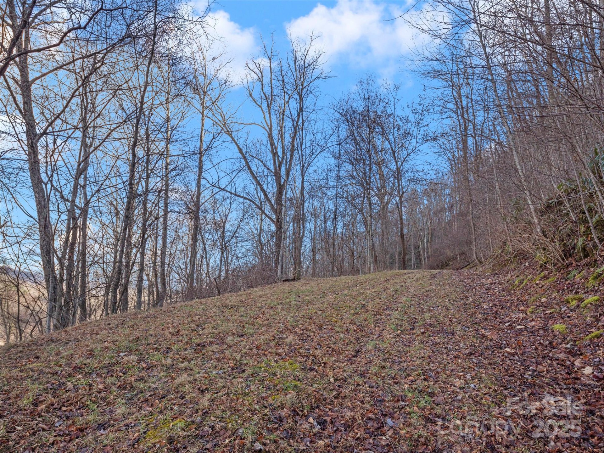 Property image 4 at 534 Kendal Drive, Leicester, NC 28748
