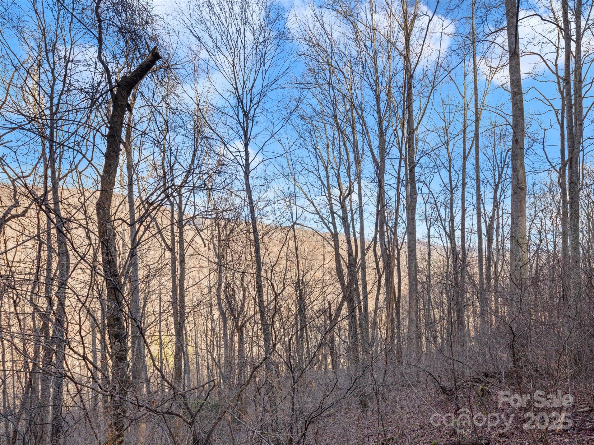Property image 5 at 534 Kendal Drive, Leicester, NC 28748