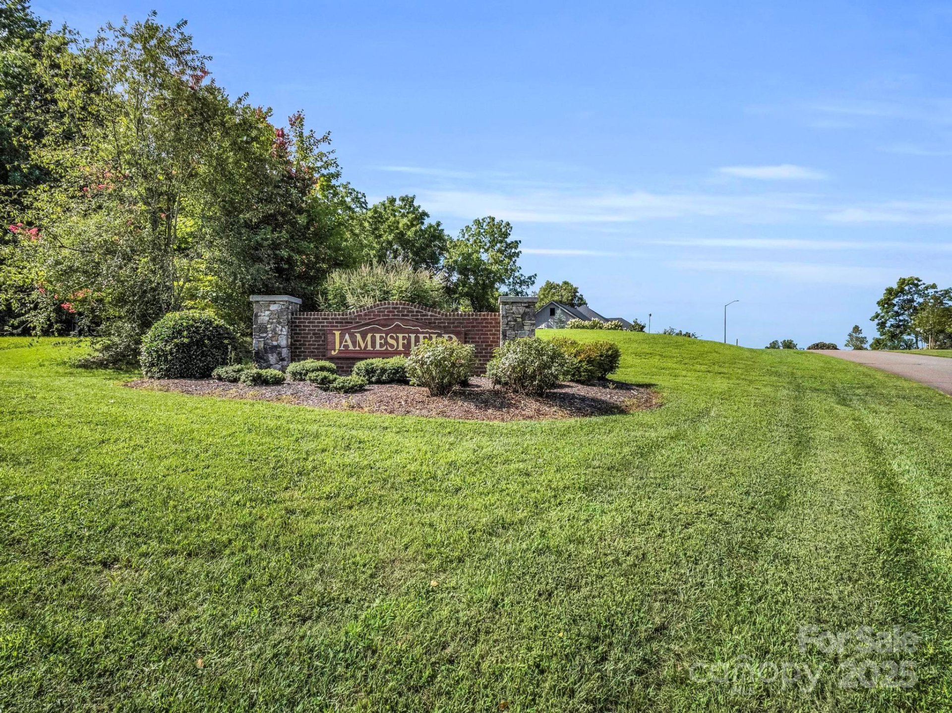 Property image 3 at 189 Jamesfield Drive, Rutherfordton, NC 28139
