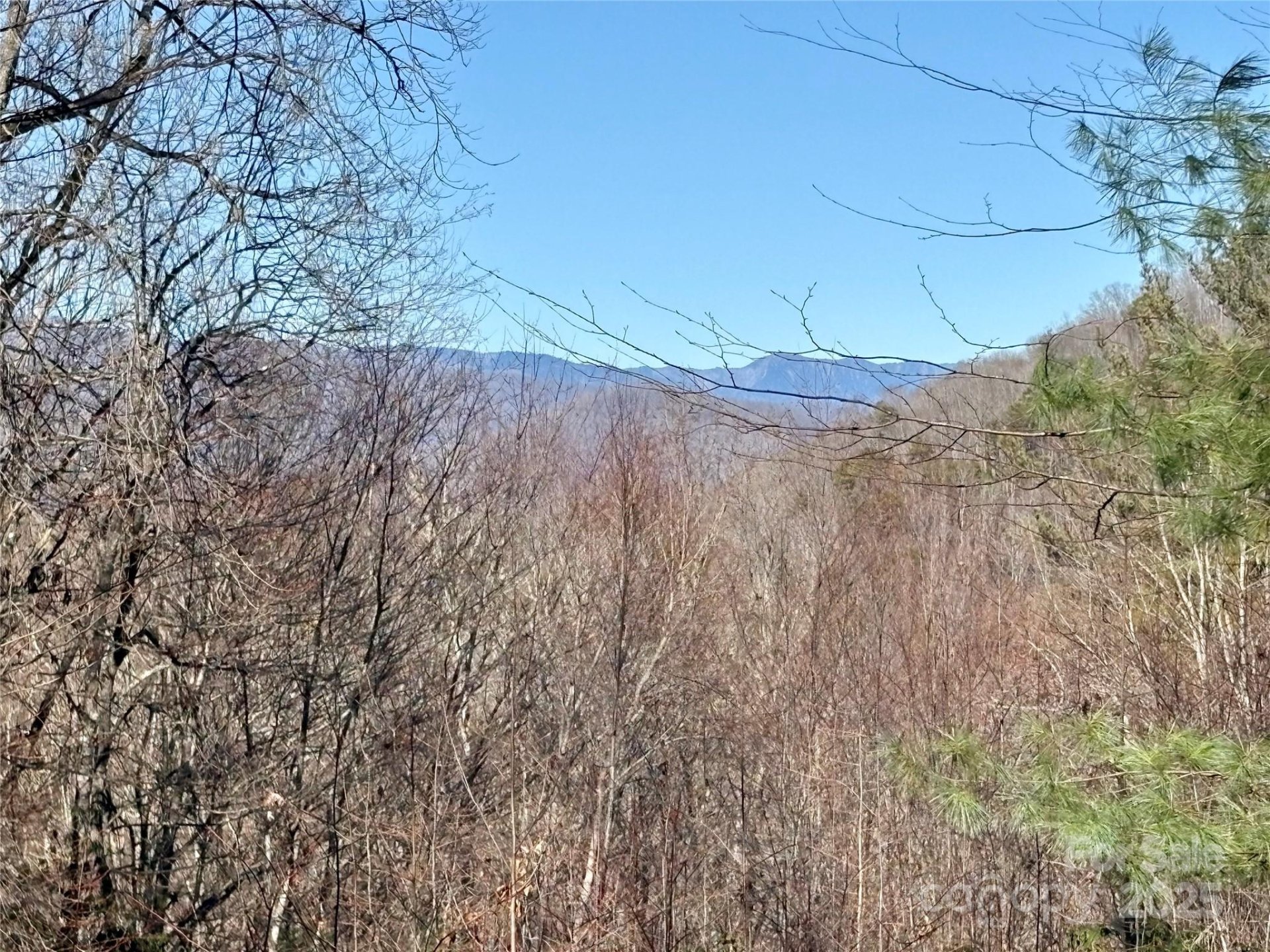 Property image 1 at 165 Widgeon Way, Whittier, NC 28789