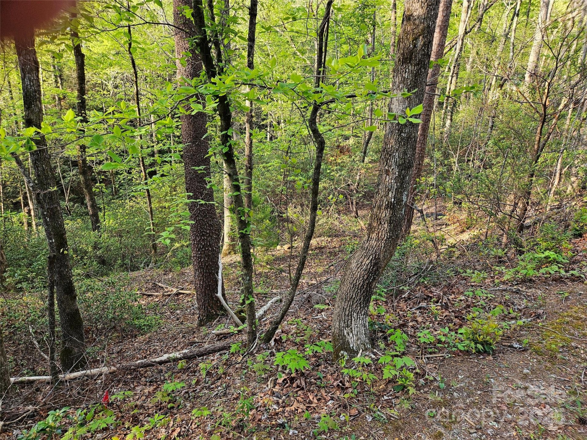 Property image 2 at 0 Huntington Road, Lake Lure, NC 28746
