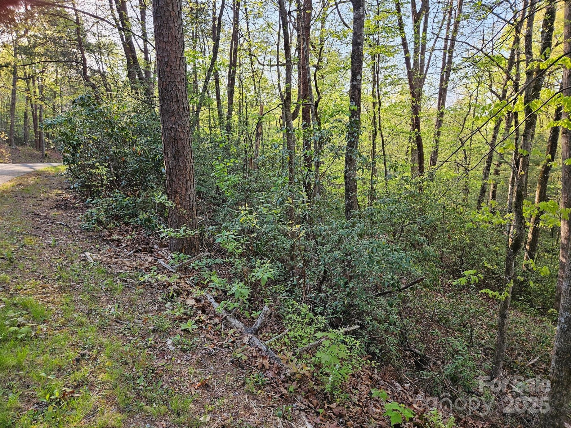 Property image 3 at 0 Huntington Road, Lake Lure, NC 28746