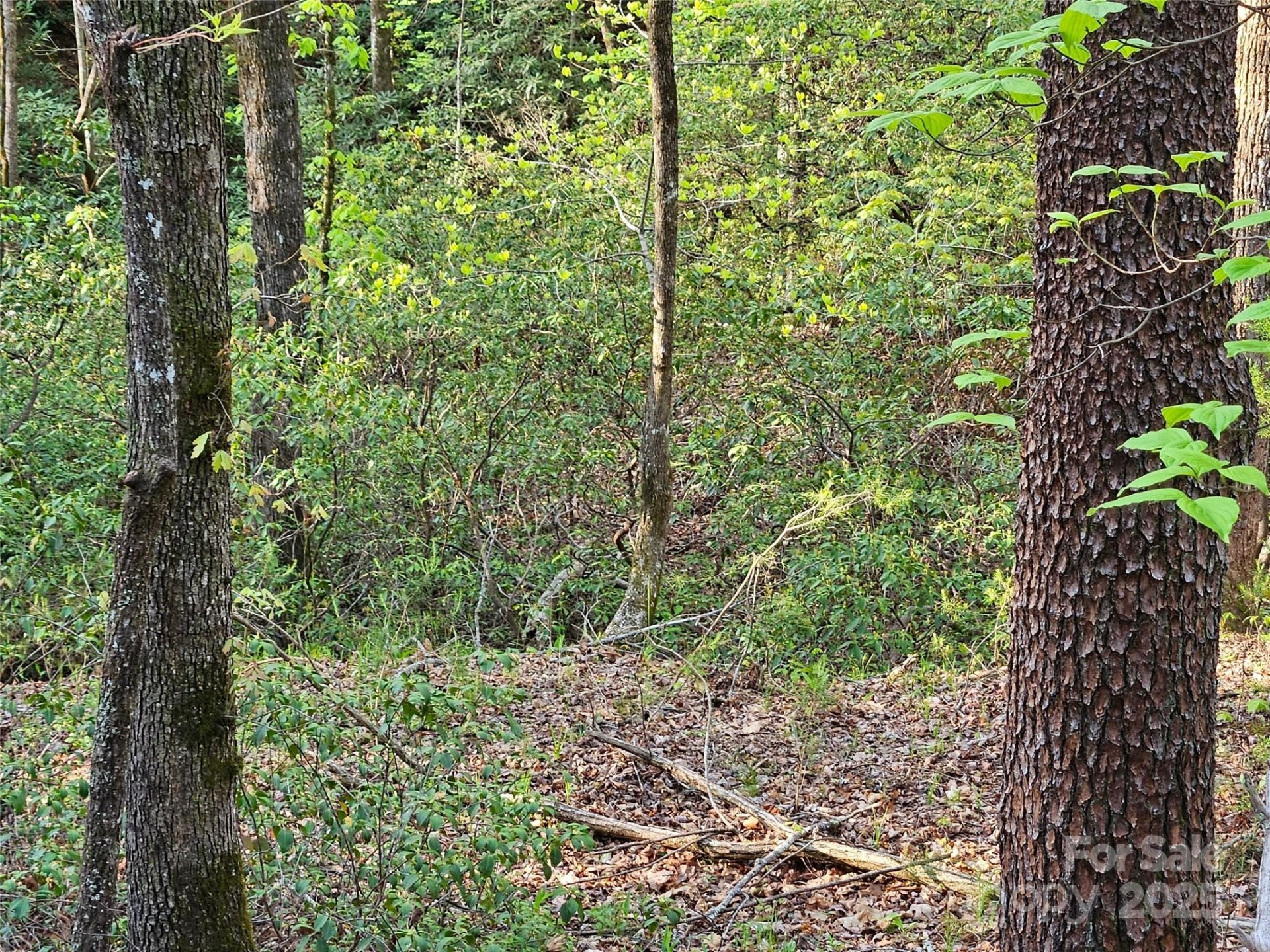 Property image 4 at 0 Huntington Road, Lake Lure, NC 28746