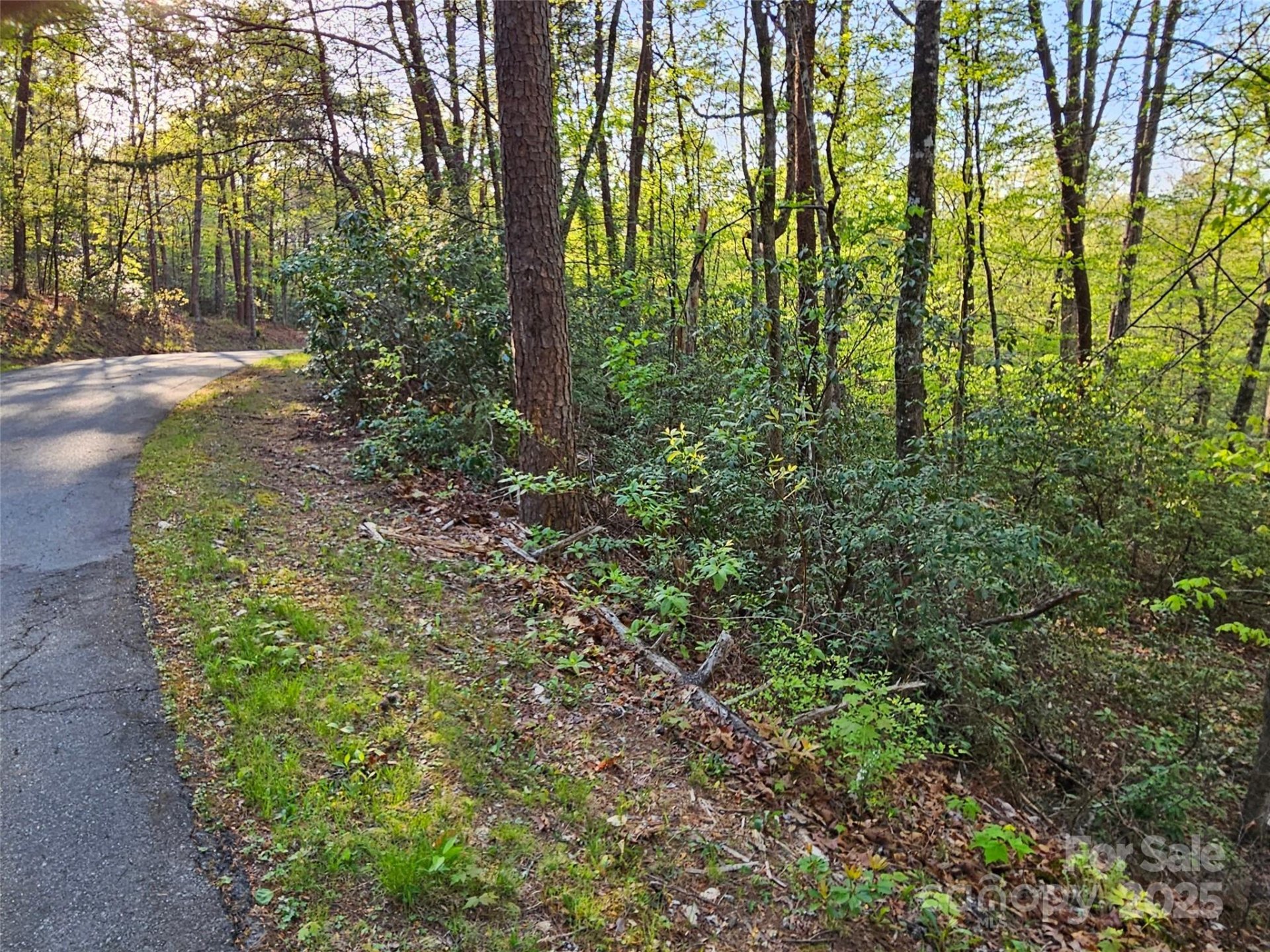 Property image 5 at 0 Huntington Road, Lake Lure, NC 28746